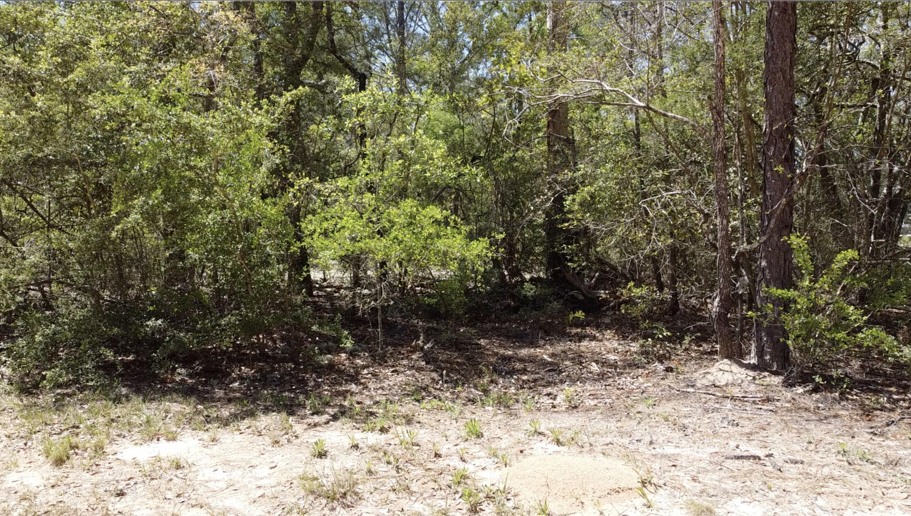 Lot 11 Randi Road Crestview, FL 32539 - Photo 9 of 12 Gallery Image 9