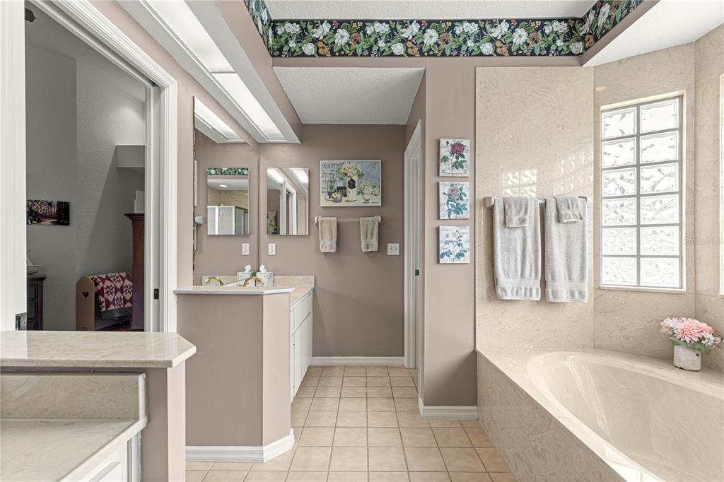 8418 Southwest 108th Pl Road Ocala, FL 34481 - Photo 33 of 80 a bathroom with a tub sink and a mirror