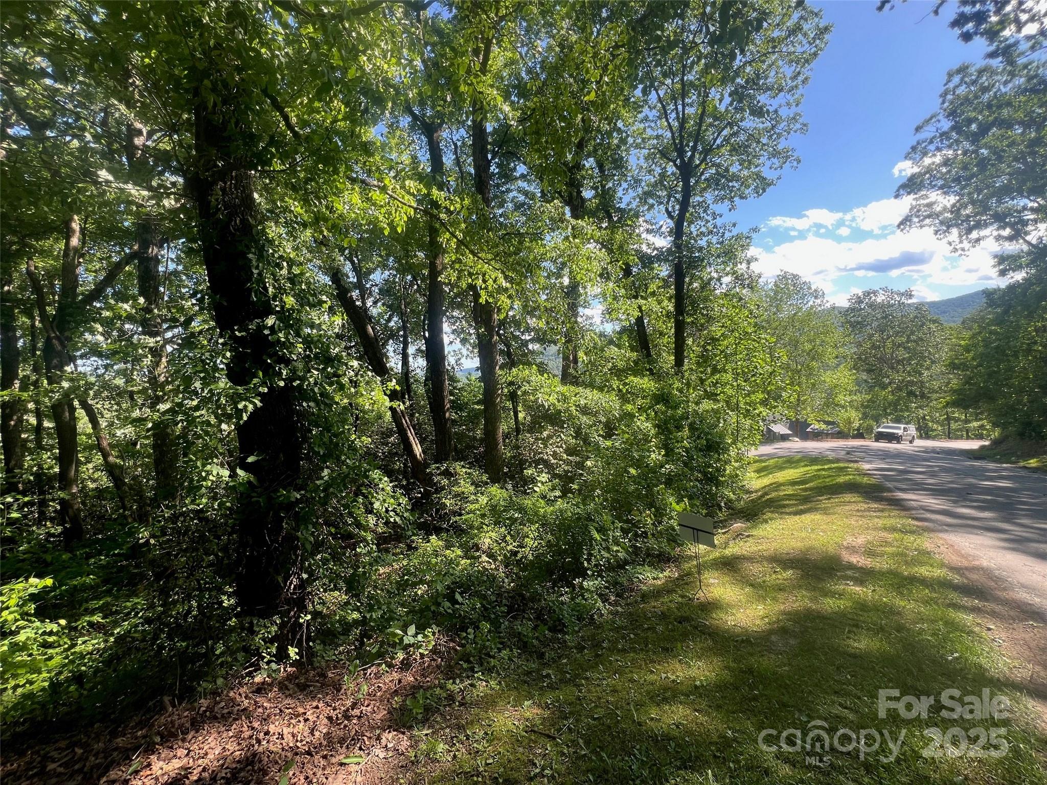 1110 Timberbluff Way Arden, NC 28704 - Photo 2 of 10 Gallery Image 2