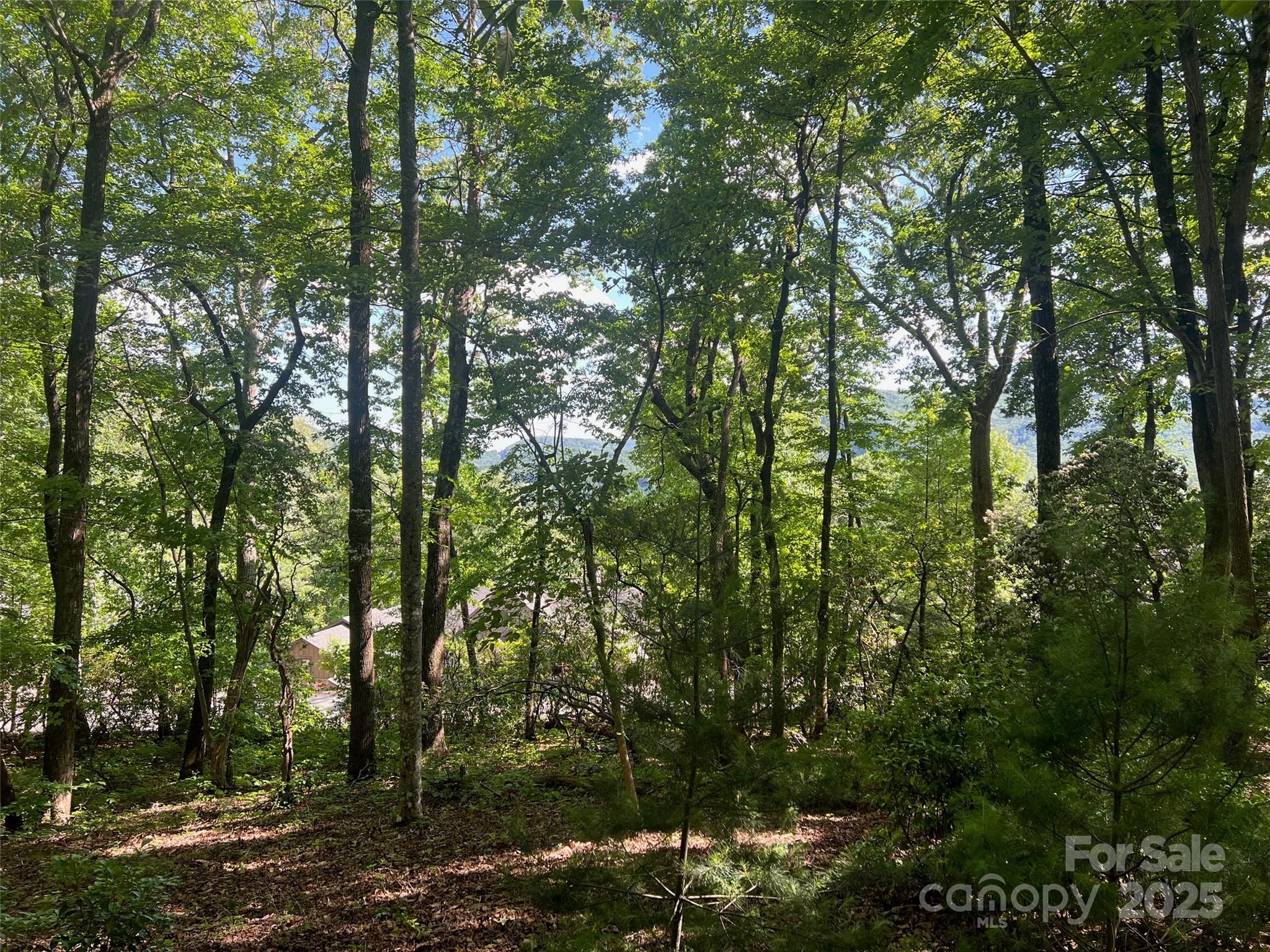 1110 Timberbluff Way Arden, NC 28704 - Photo 3 of 10 Gallery Image 3