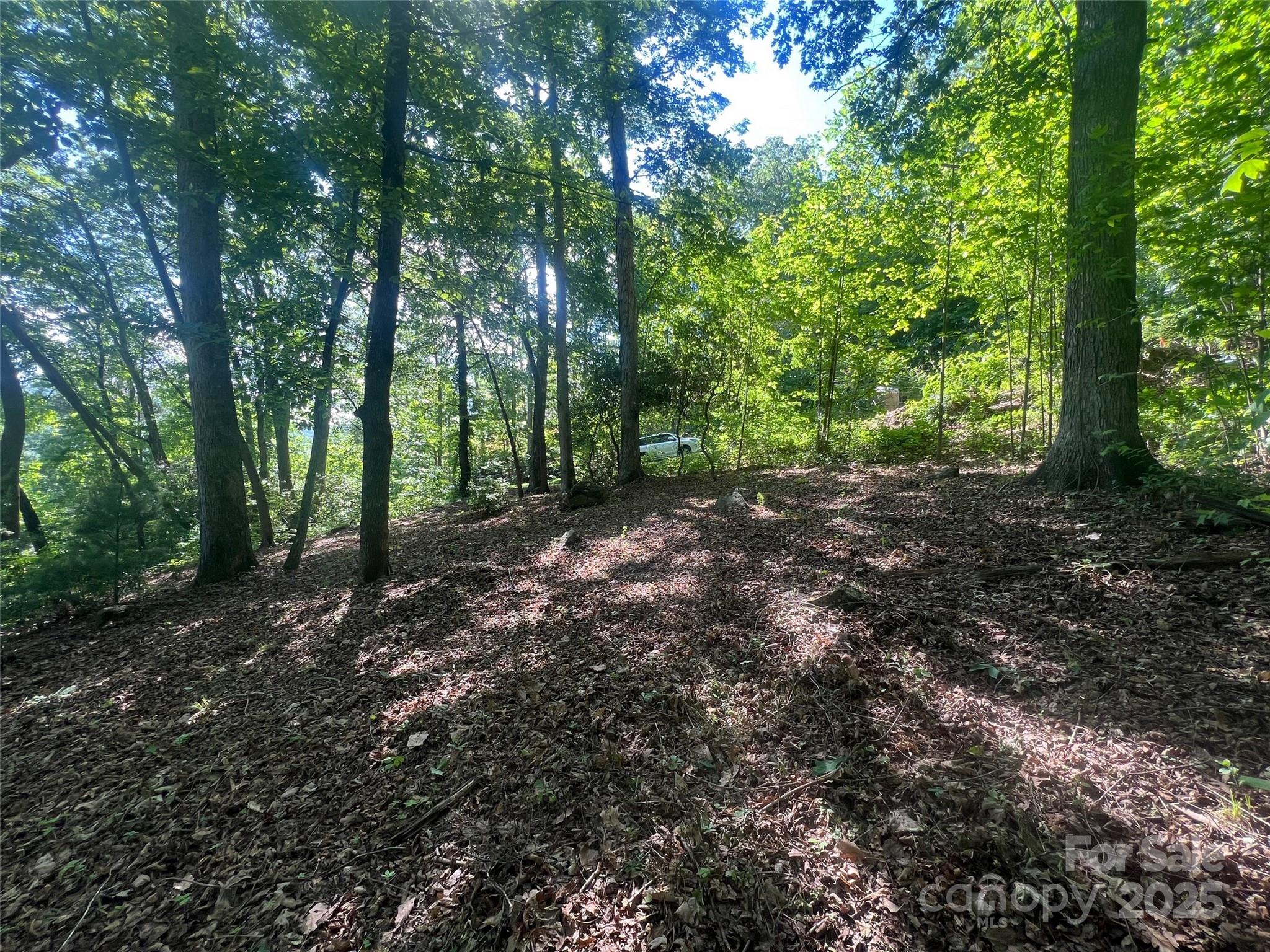 1110 Timberbluff Way Arden, NC 28704 - Photo 8 of 10 Gallery Image 8