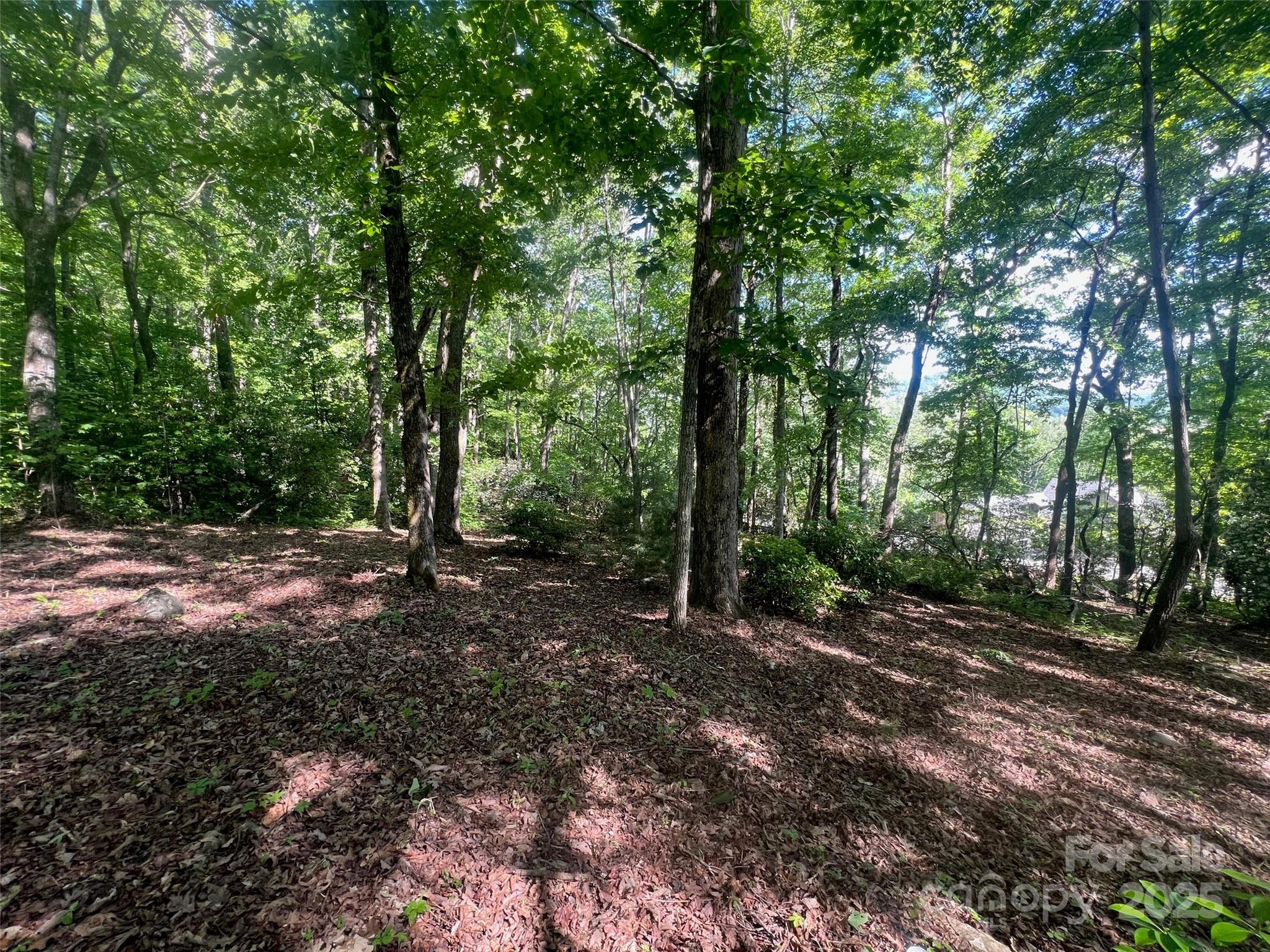 1110 Timberbluff Way Arden, NC 28704 - Photo 9 of 10 Gallery Image 9