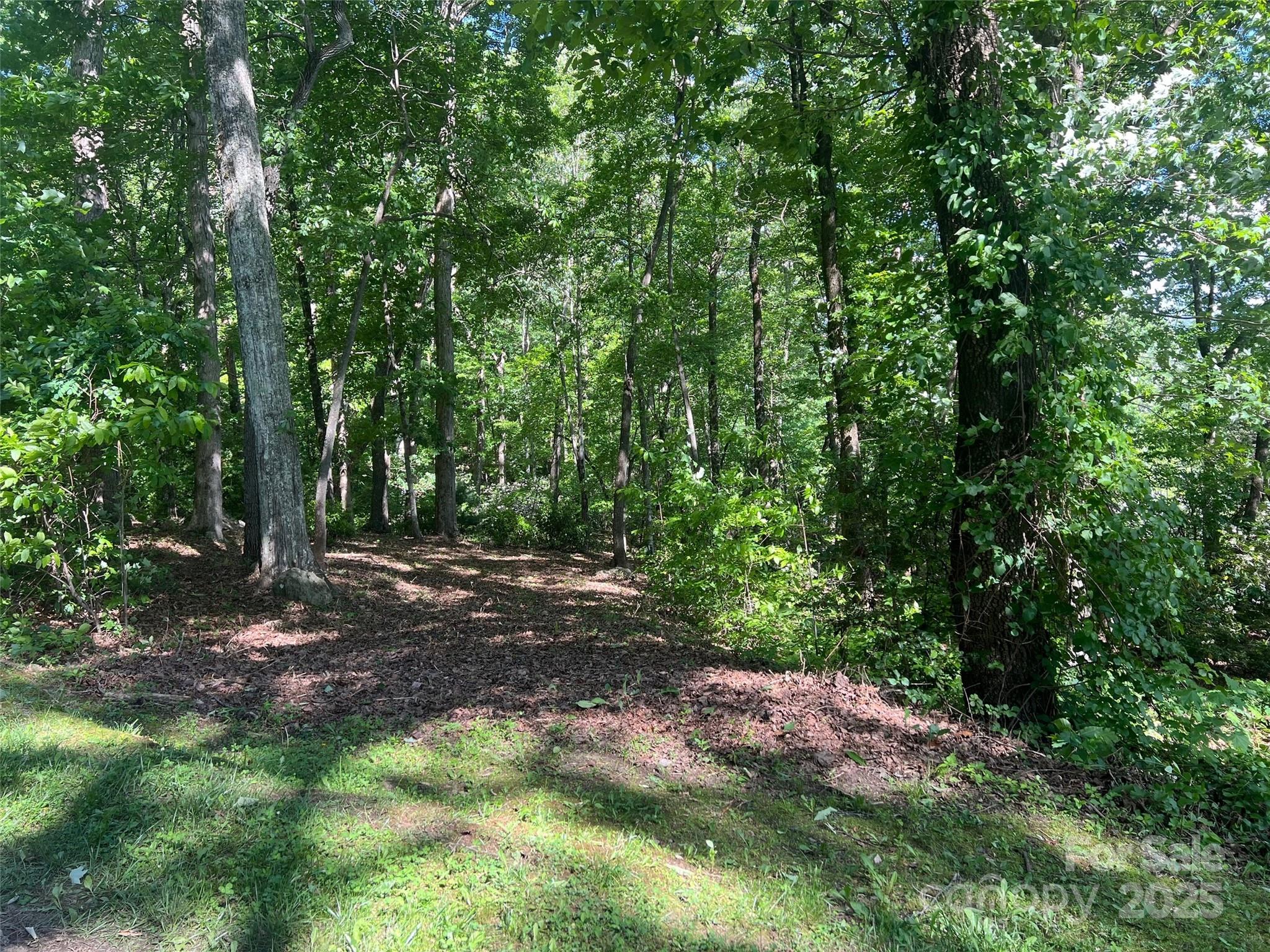 1110 Timberbluff Way Arden, NC 28704 - Photo 10 of 10 Gallery Image 10