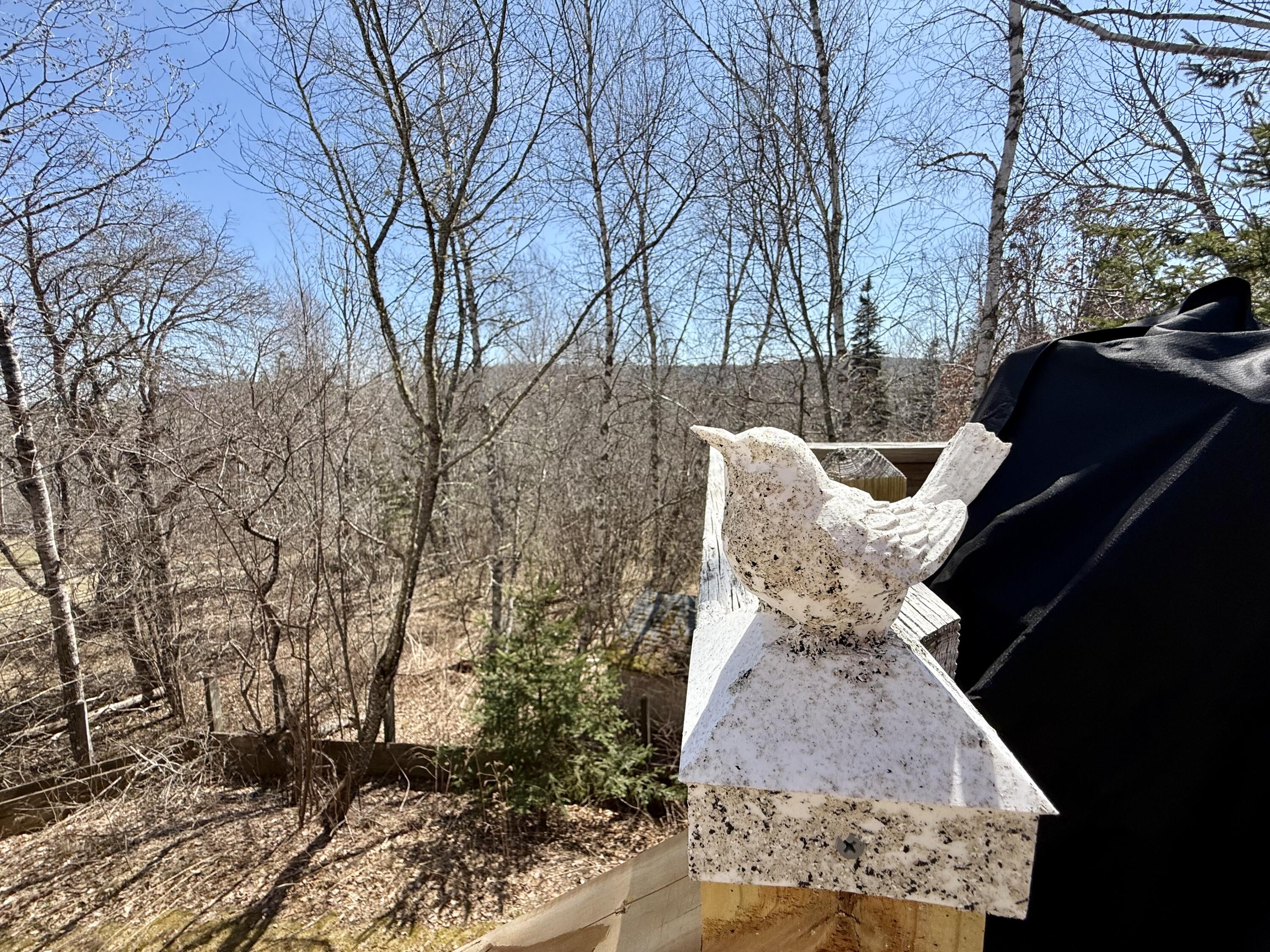 2293-2295 South Princeton Road Baileyville, ME 04694 - Photo 64 of 82 IMG_8385