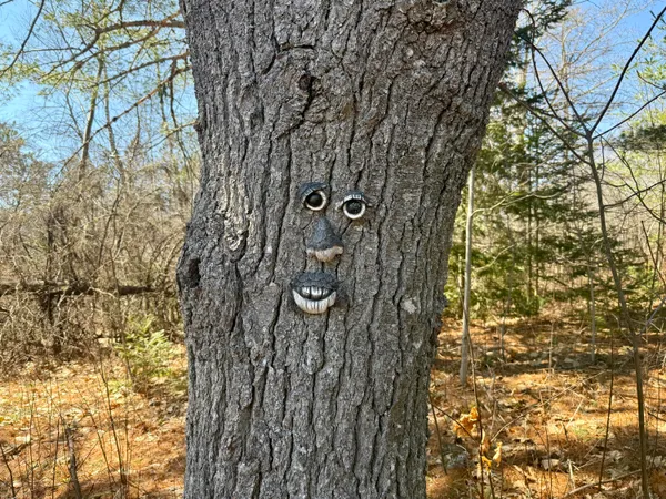 $395,000 | 2293-2295 South Princeton Road, Baileyville, ME 04694