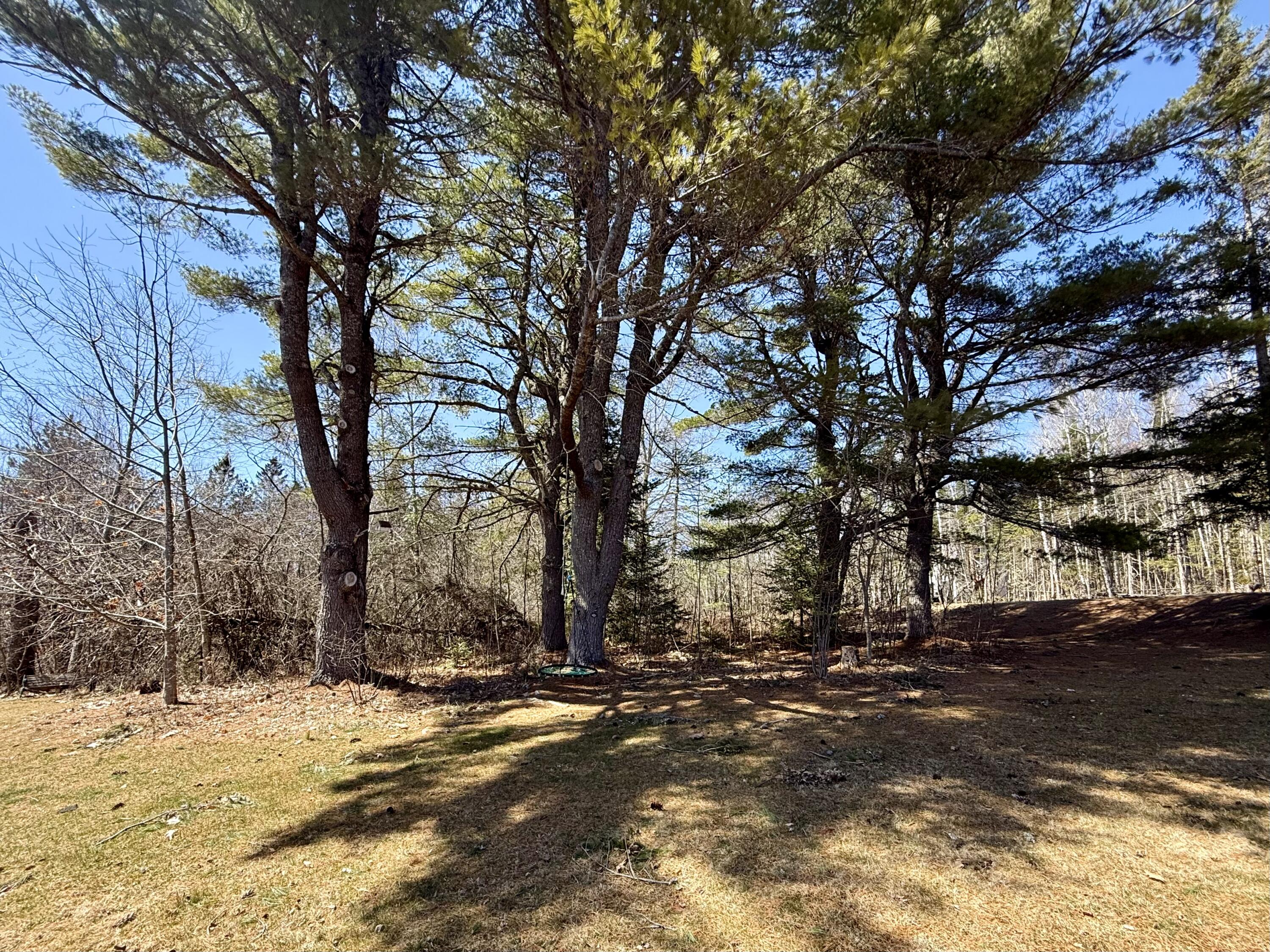2293-2295 South Princeton Road Baileyville, ME 04694 - Photo 76 of 97 IMG_8311