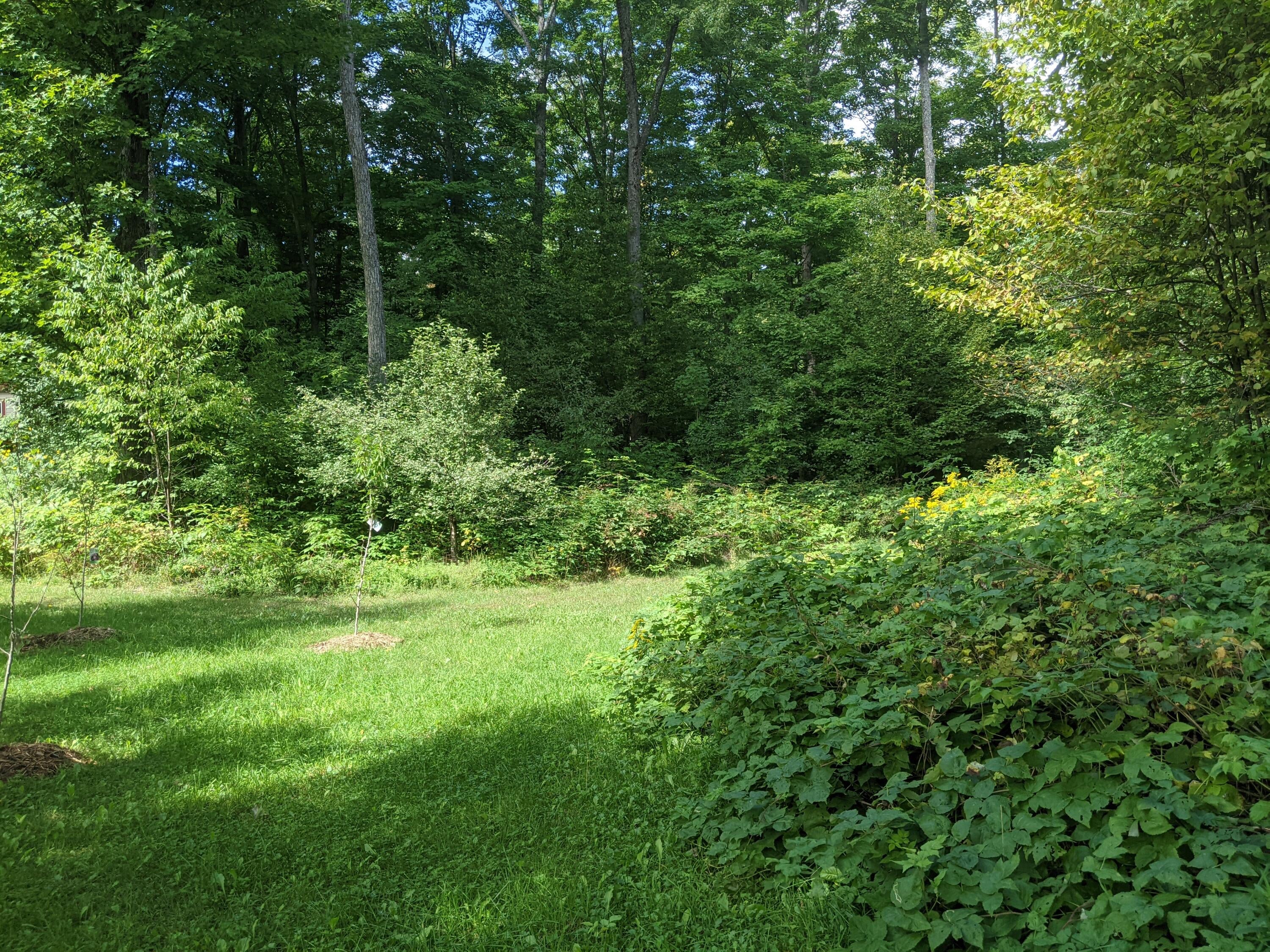 4480 Hallenius Road Gaylord, MI 49735 - Photo 96 of 104 Gallery Image 96