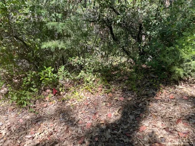 $50,000 | 10 Broken Springs Road, Oroville, CA 95966