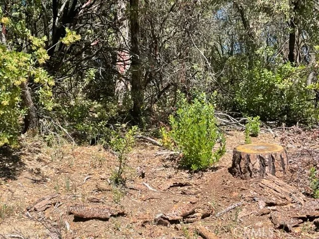 $50,000 | 10 Broken Springs Road, Oroville, CA 95966