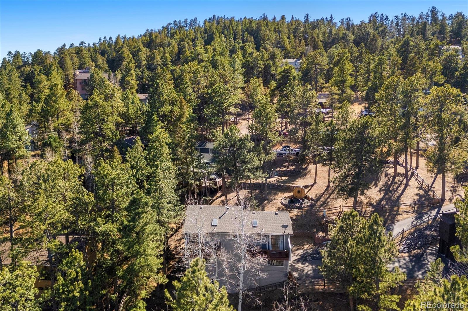 29895 Spruce Road Evergreen, CO 80439 - Photo 38 of 38 a view of a forest with a tree