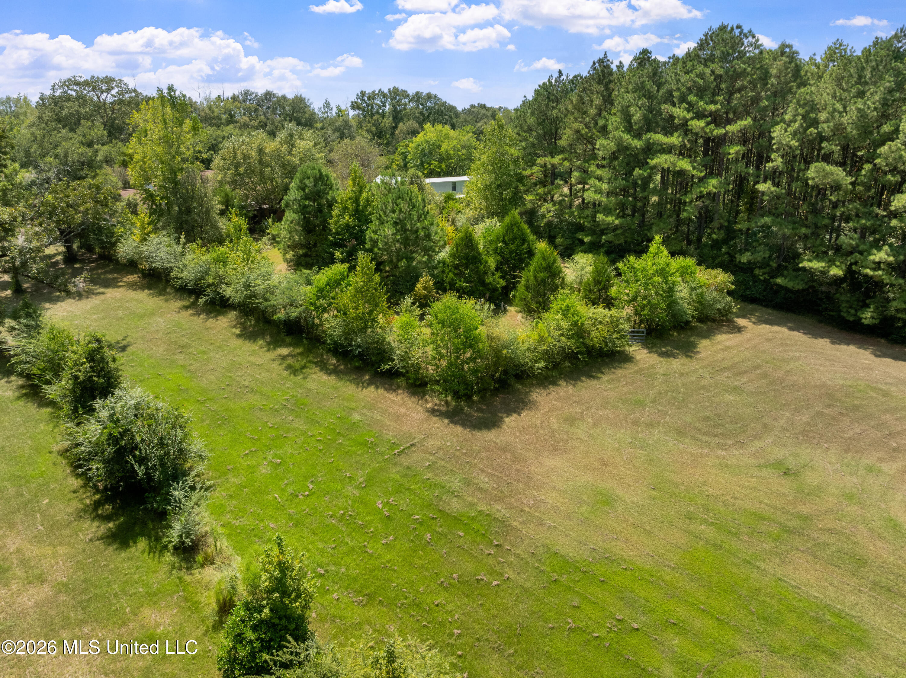 3751 Mound Road Northeast Wesson, MS 39191 - Photo 63 of 73 3751_Mound_Rd_NE-56