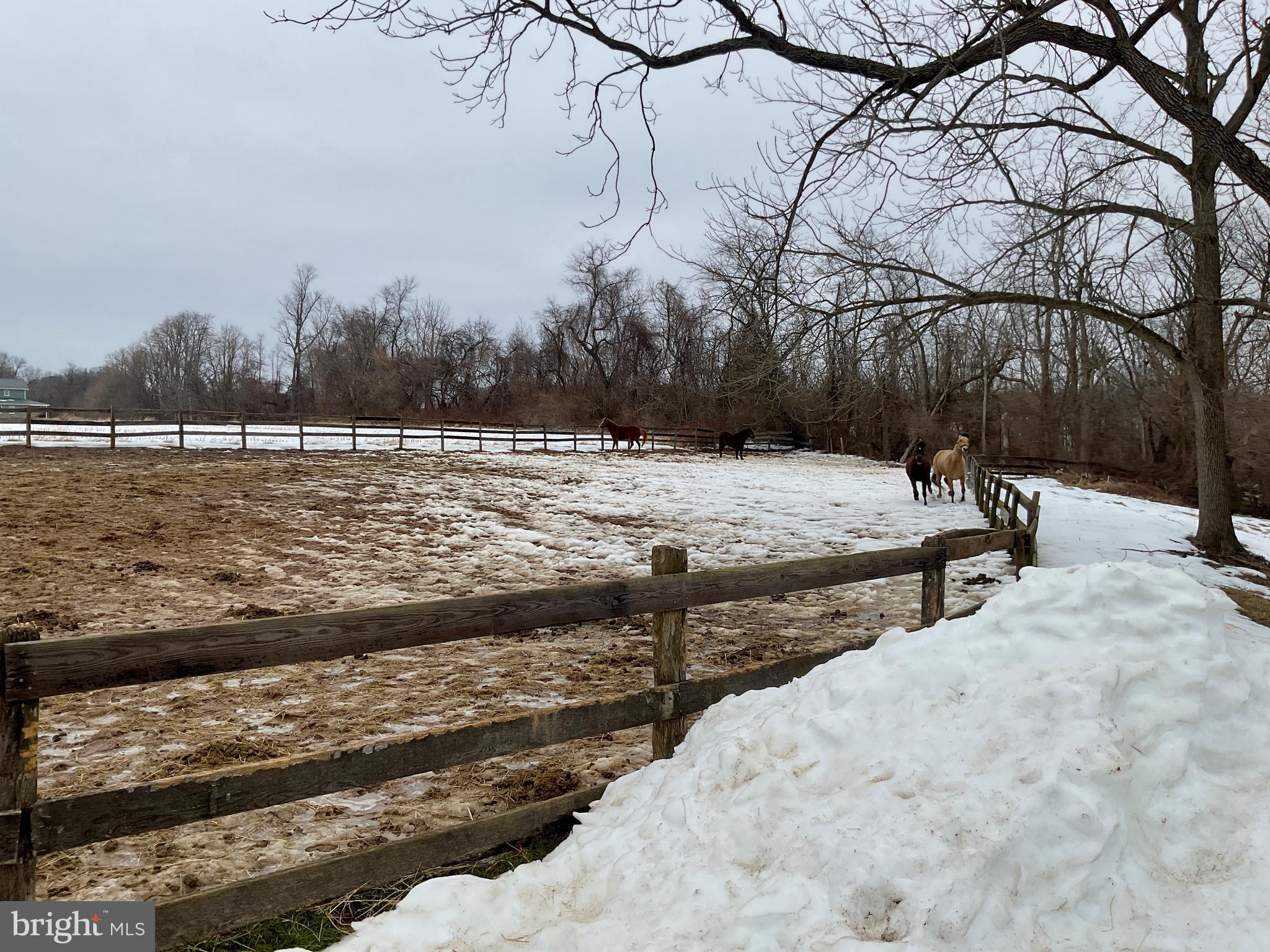 192 Rock Church Road Elkton, MD 21921 - Photo 52 of 77