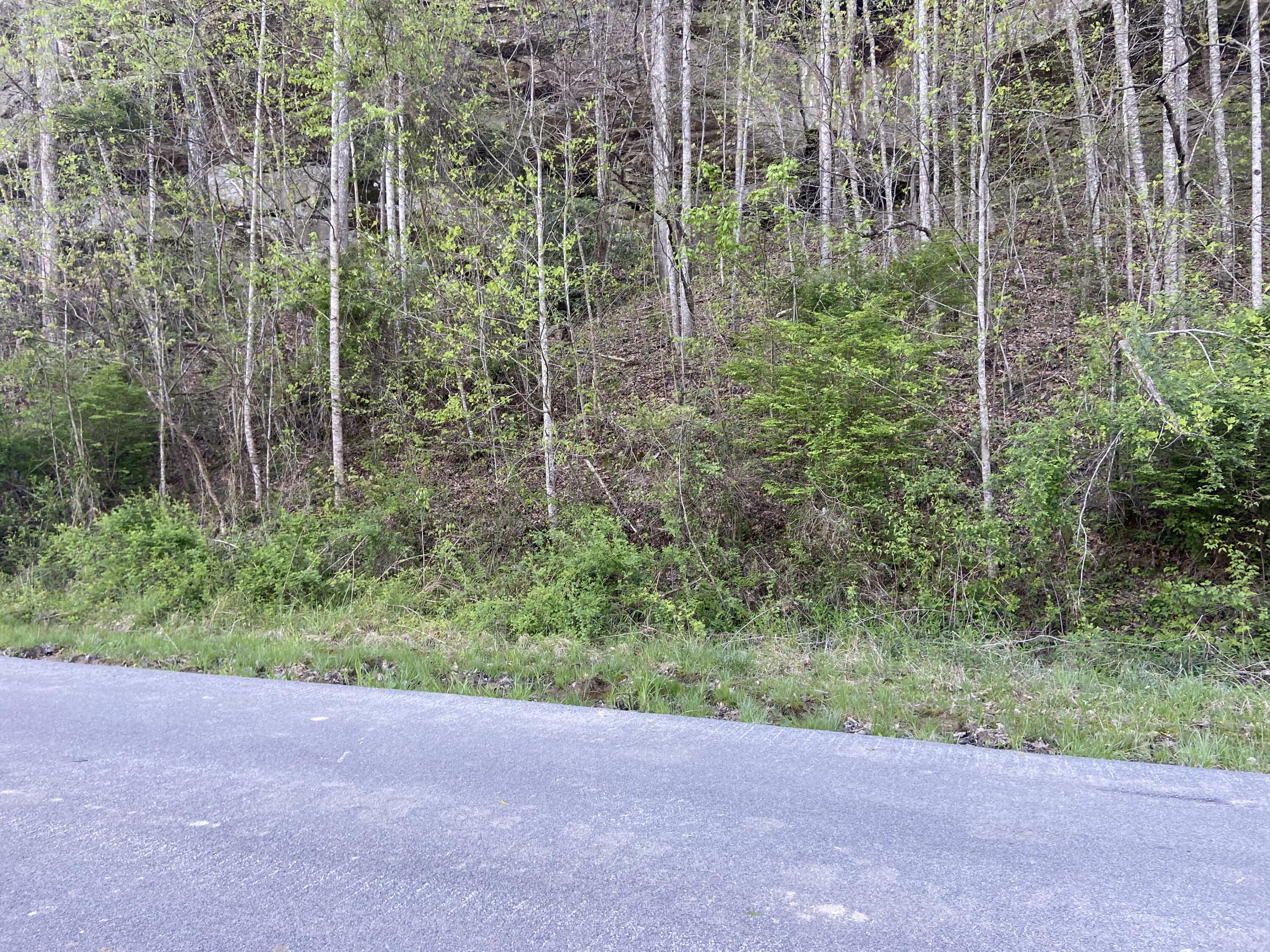 577 Cliffs Edge Road East Bernstadt, KY 40729 - Photo 5 of 11 IMG_4894