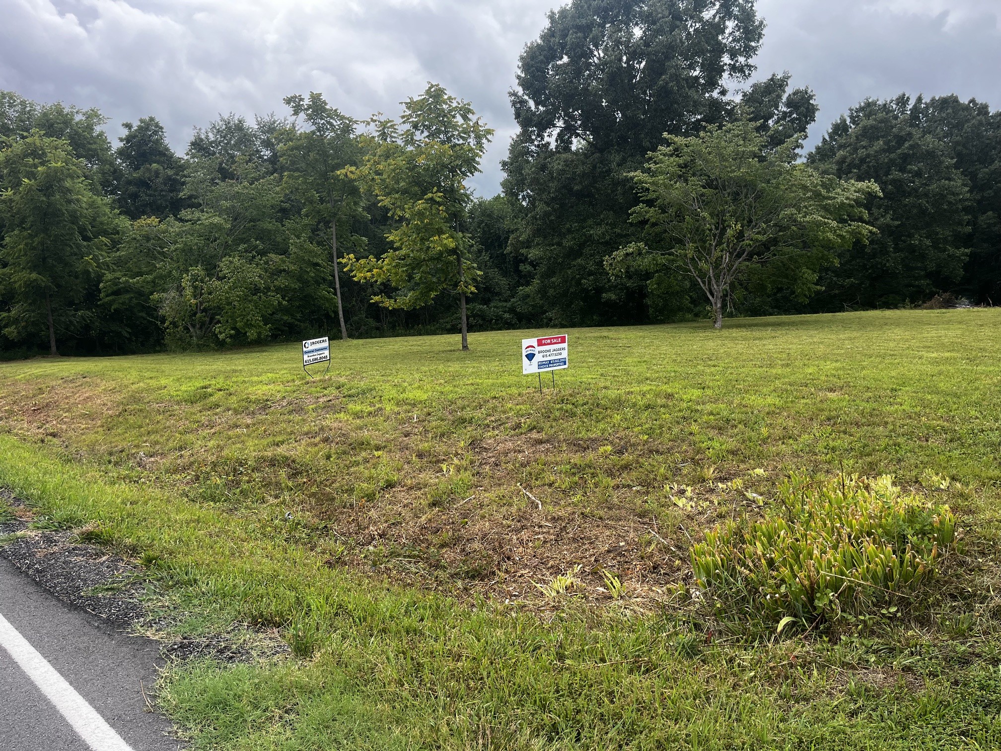 0 Pleasant Grove Road Cross Plains, TN 37049 - Photo 3 of 3 Gallery Image 3