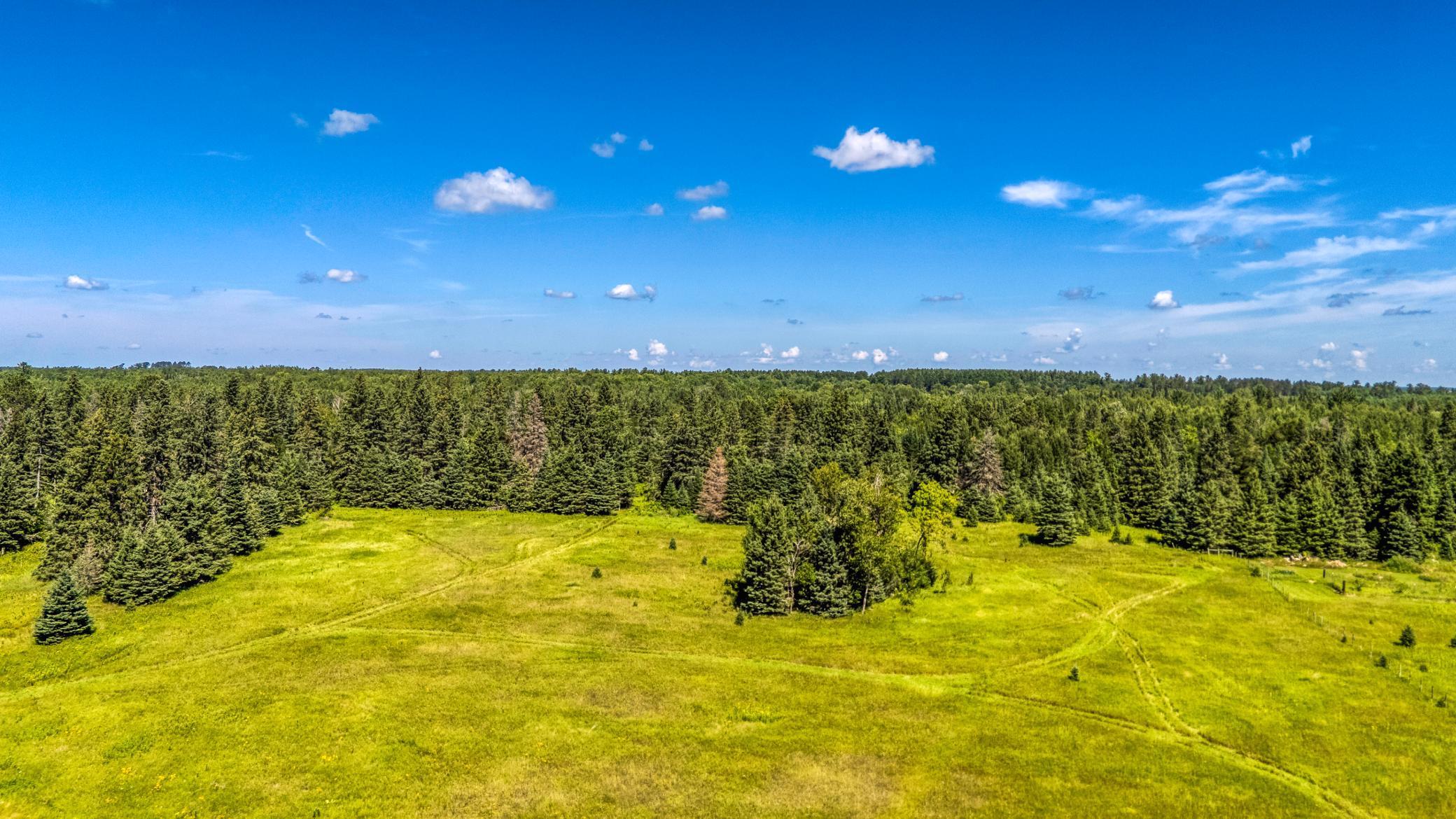 Tbd Tbd 480th Laporte, MN 56461 - Photo 1 of 1 Gallery Image 1