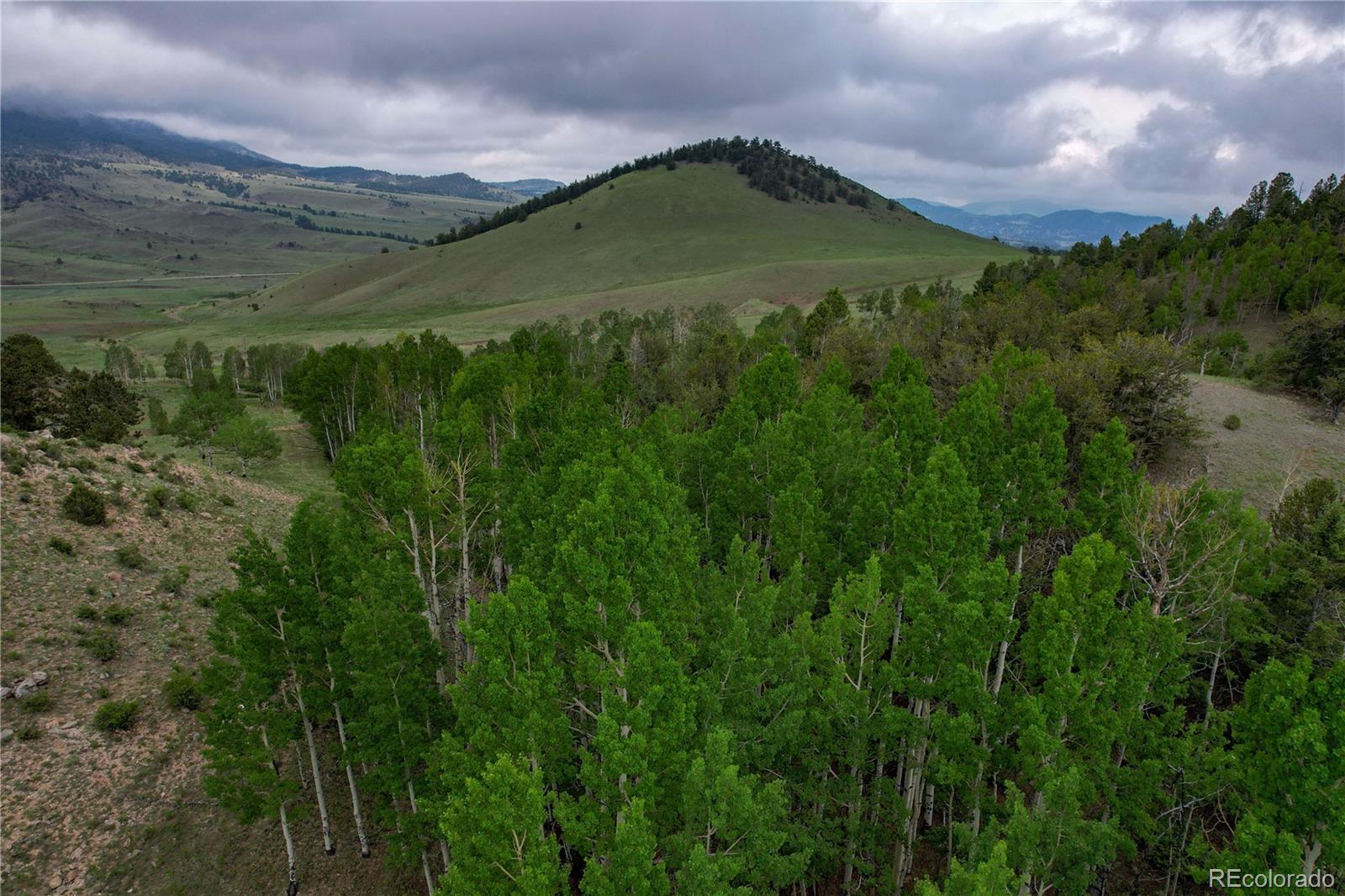 Undisclosed Address Guffey, CO 80820 - Photo 4 of 45 Gallery Image 4