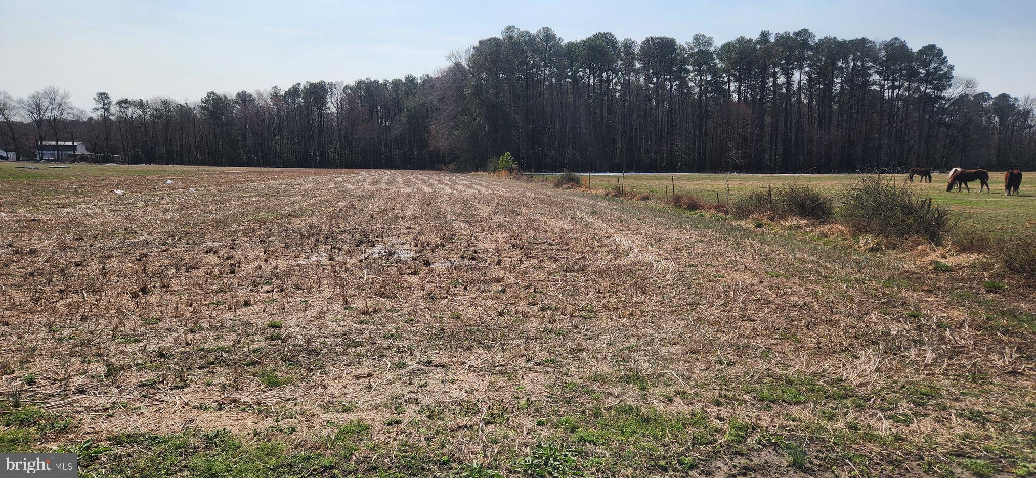 Lot 1 Pepperbox Road Laurel, DE 19956 - Photo 1 of 4