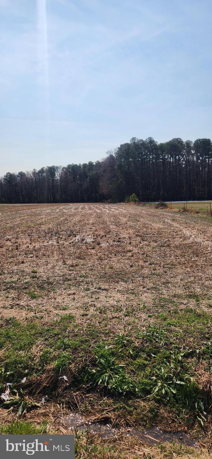 Lot 1 Pepperbox Road Laurel, DE 19956 - Photo 2 of 4