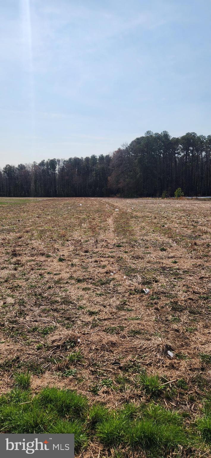 Lot 1 Pepperbox Road Laurel, DE 19956 - Photo 3 of 4