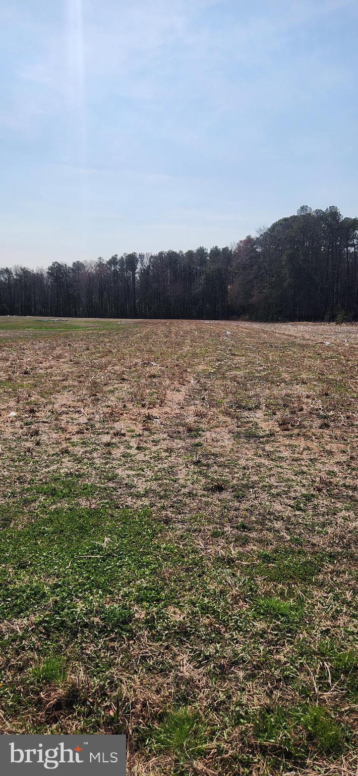 Lot 1 Pepperbox Road Laurel, DE 19956 - Photo 4 of 4