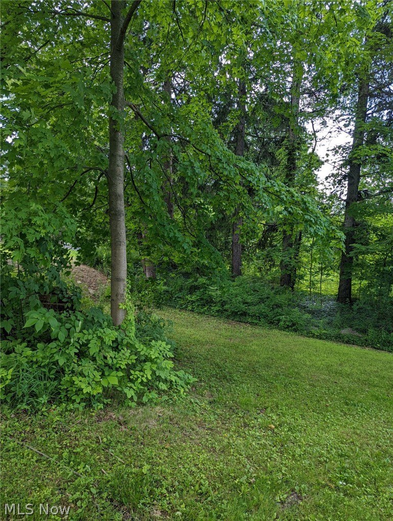 467 Center Road Hinckley, OH 44233 - Photo 18 of 20 summer photo showing trees