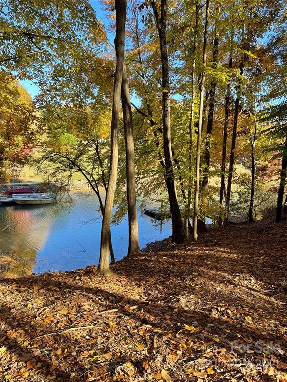 0 Stillwater Road Troutman, NC 28166 - Photo 2 of 4 Gallery Image 2