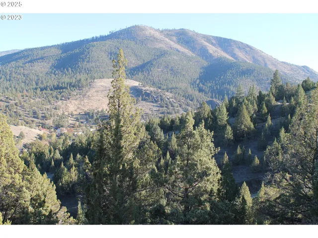 a view of a dry yard with mountains