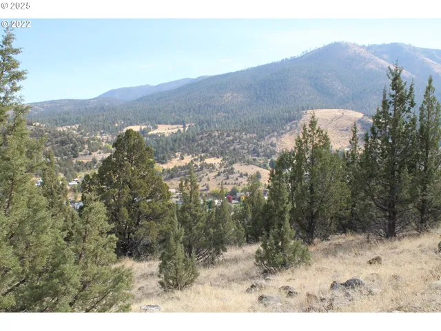 a view of a dry yard