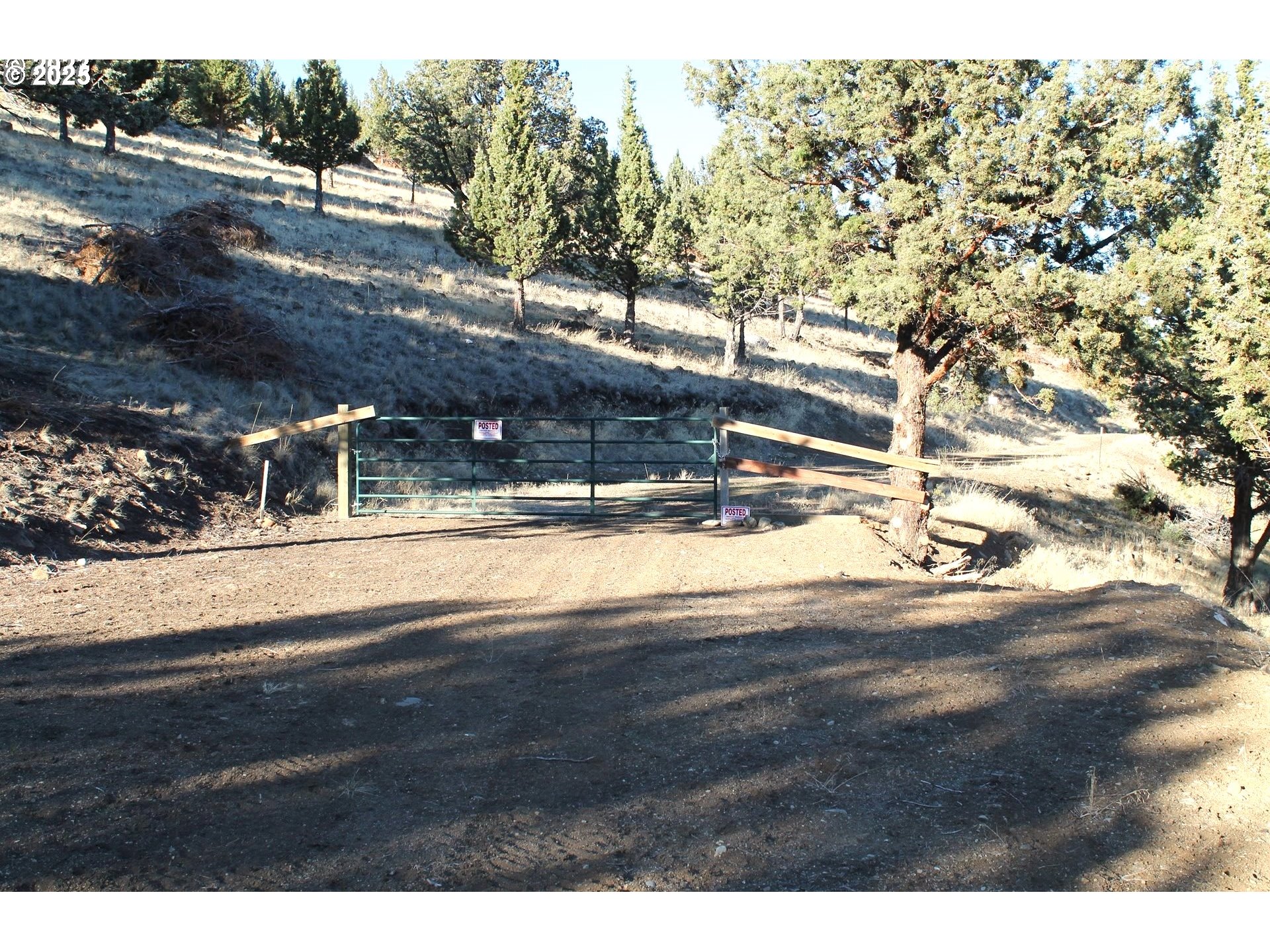 0 Cougar Ridge Road Canyon City, OR 97820 - Photo 4 of 8 a view of a yard