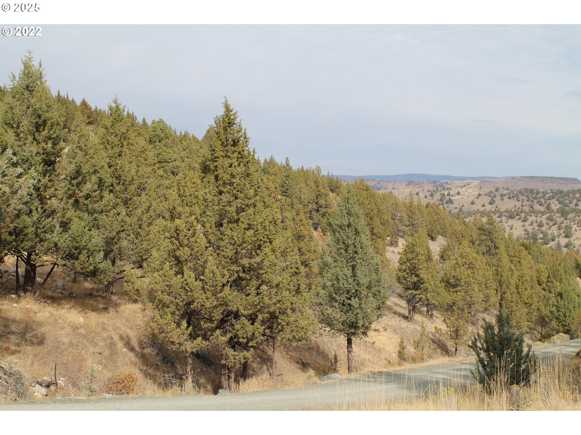 0 Cougar Ridge Road Canyon City, OR 97820 - Photo 5 of 8 a view of a yard