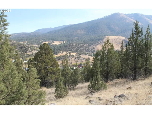 a view of a dry yard