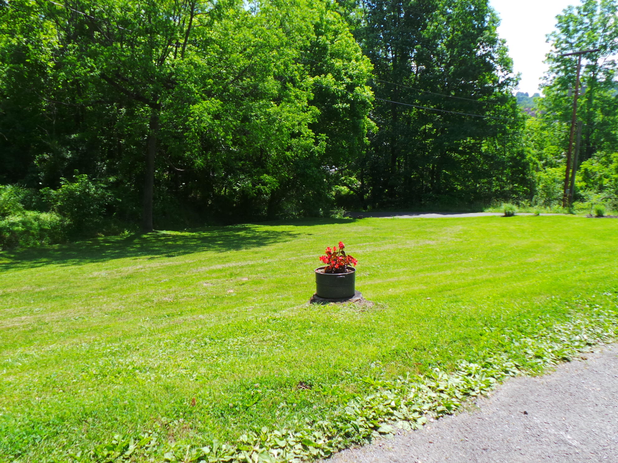 1905 Boozy Creek Road Bristol, VA 24202 - Photo 57 of 130 RIGHT SIDE YARD