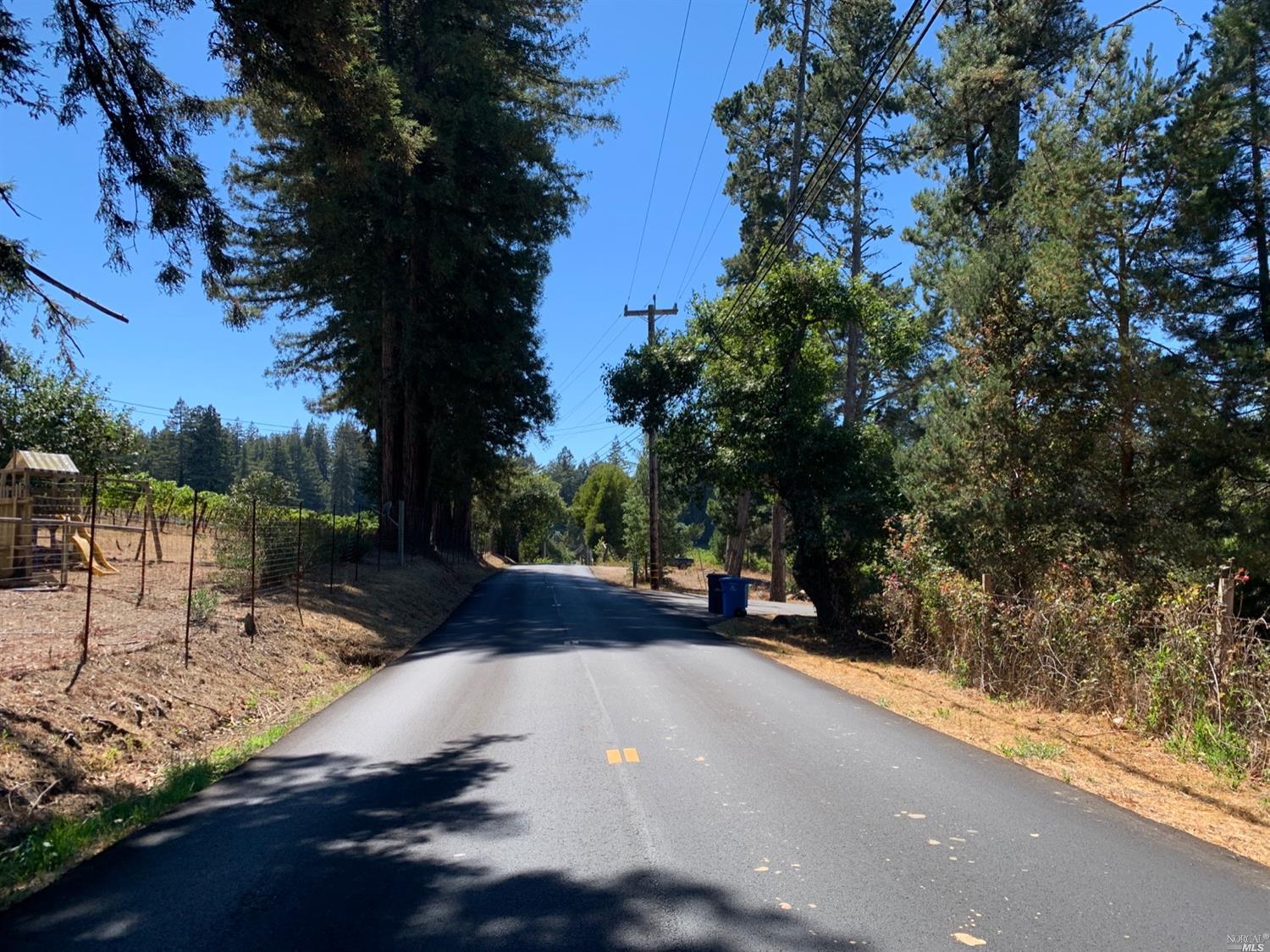 11690 Occidental Road Sebastopol, CA 95472 - Photo 1 of 1 a view of a street with a tree