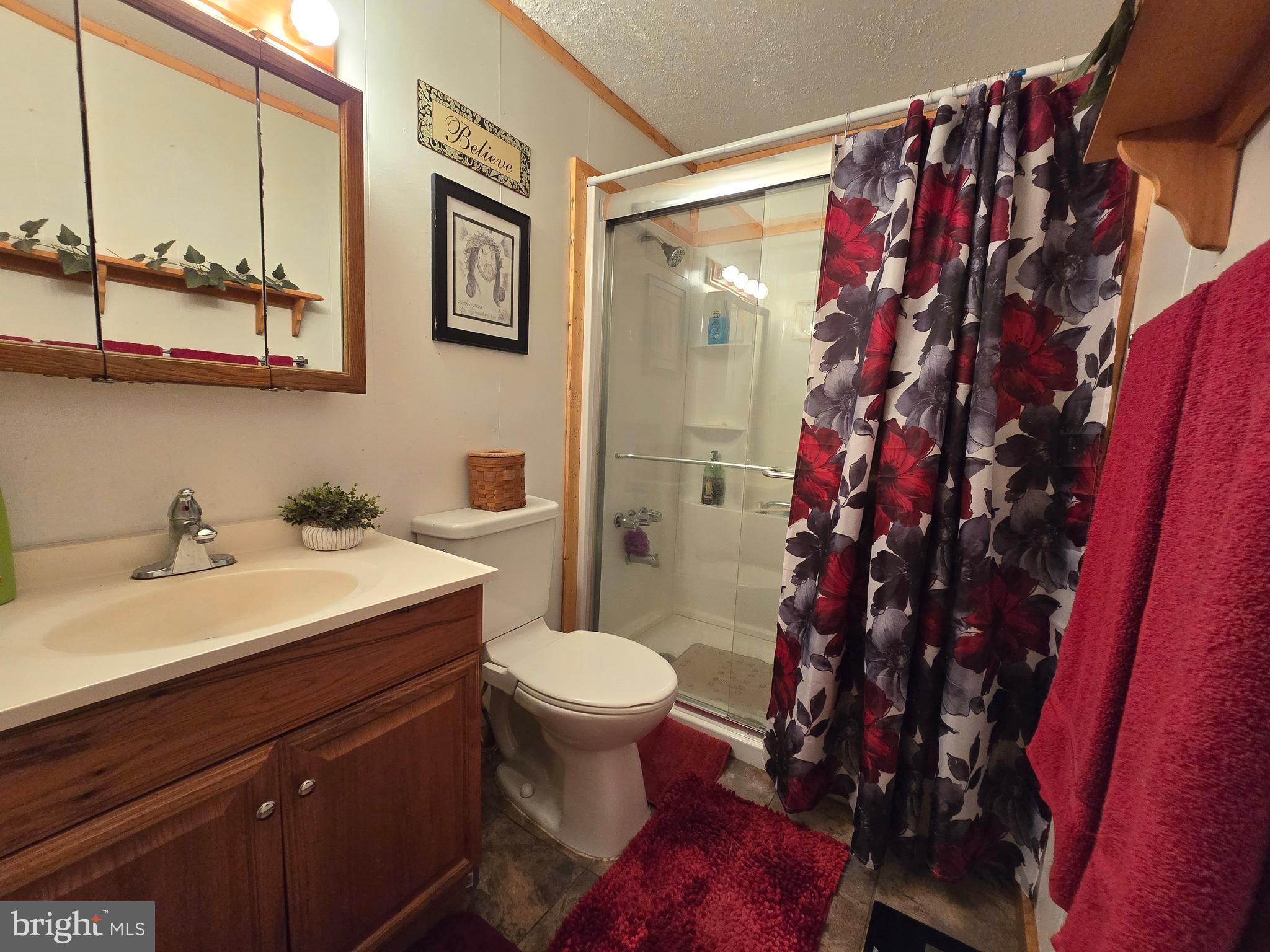 6231 Valley Road Berkeley Springs, WV 25411 - Photo 15 of 34 Full bath with walk-in shower