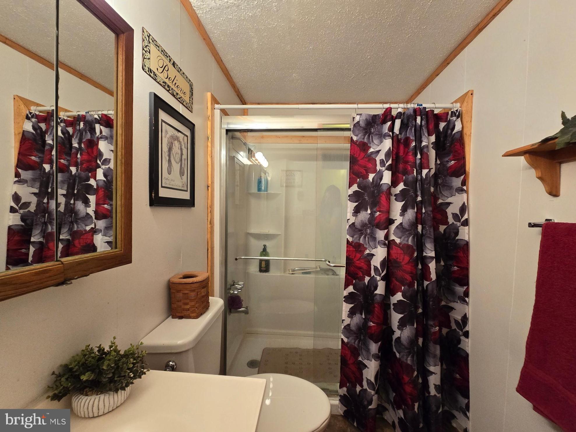 6231 Valley Road Berkeley Springs, WV 25411 - Photo 16 of 34 Full bath