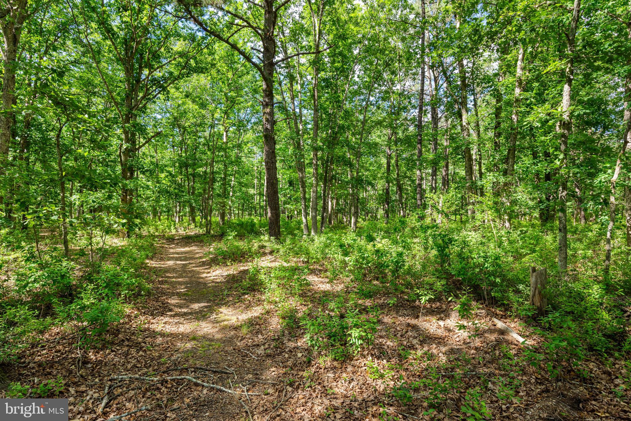 549 Jackson Road Williamstown, NJ 08094 - Photo 34 of 45