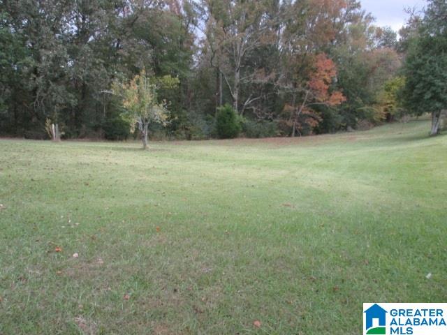 1024 Highway 12 Oneonta Al Oneonta, AL 35121 - Photo 3 of 14