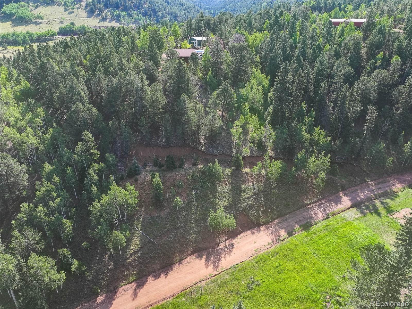 490 Willow Road Divide, CO 80814 - Photo 1 of 2 Gallery Image 1