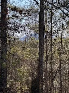 $39,000 | 9-11 Sugar Maple Road, Murphy, NC 28906