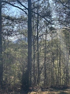9-11 Sugar Maple Road Murphy, NC 28906 - Photo 4 of 7