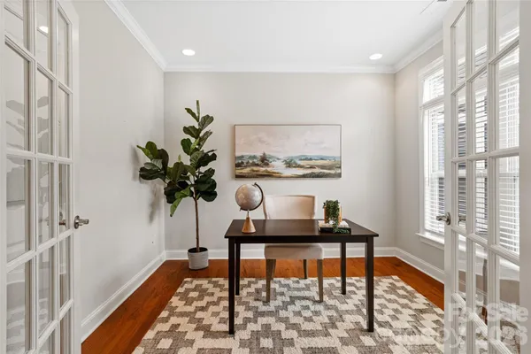 a living room filled with furniture and a potted plant