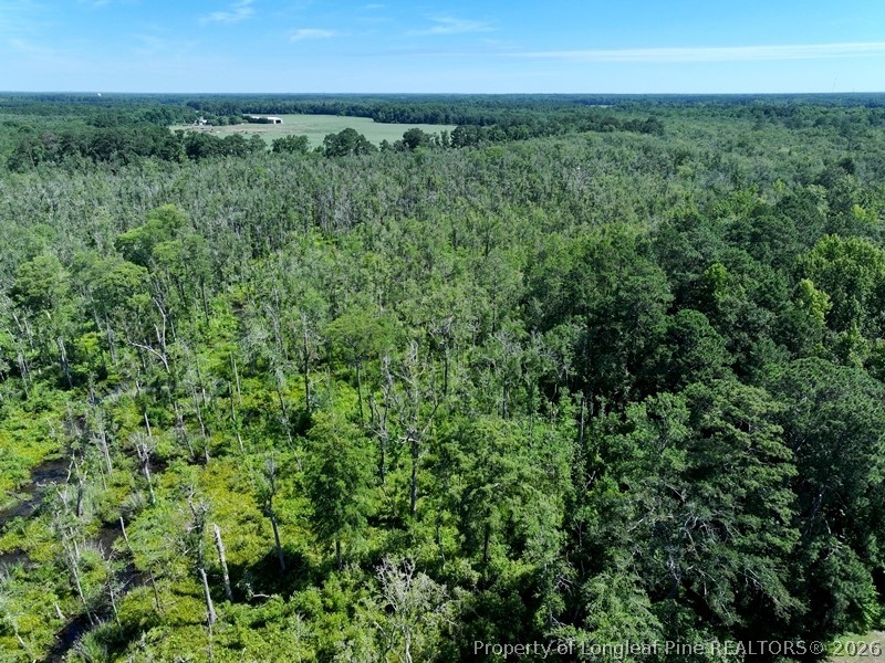 Yarborough Road Parkton, NC 28371 - Photo 4 of 13