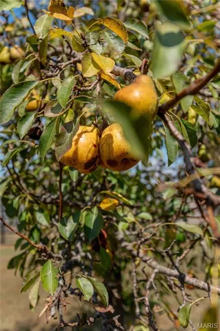 $790,000 | 14225 Highway 68, St. James, MO 65559