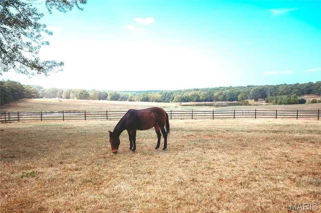 $790,000 | 14225 Highway 68, St. James, MO 65559