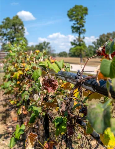 $790,000 | 14225 Highway 68, St. James, MO 65559