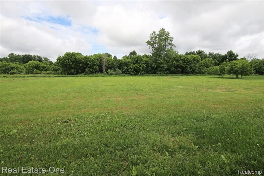5076 Hidden Ridge Road Metamora, MI 48455 - Photo 45 of 46 45) Backyard.jpg