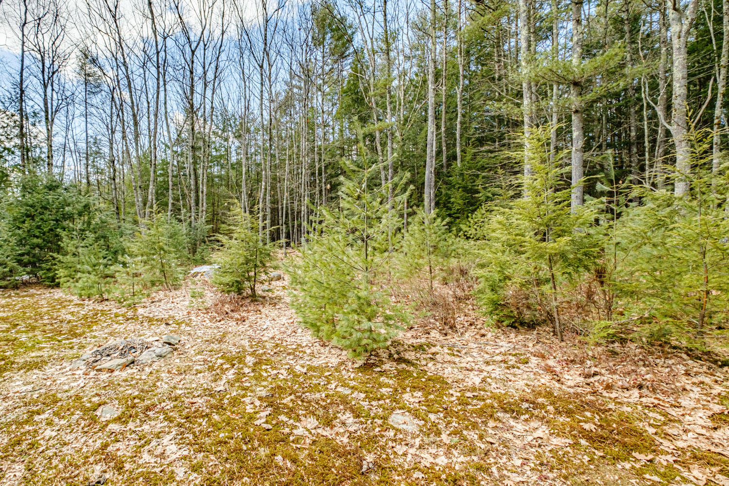 31 Crystal Lane Cumberland, ME 04021 - Photo 73 of 85 20200318gp-61088