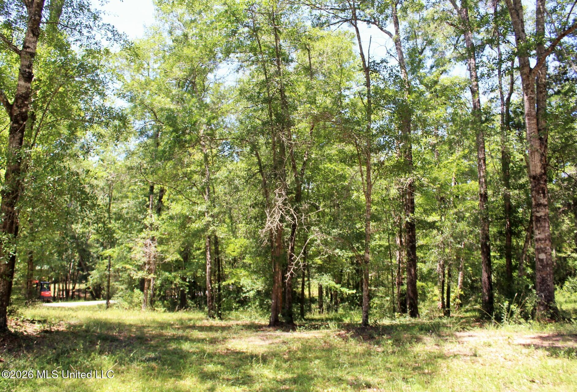 2.88-ac Morrison Road Lucedale, MS 39452 - Photo 8 of 12 1