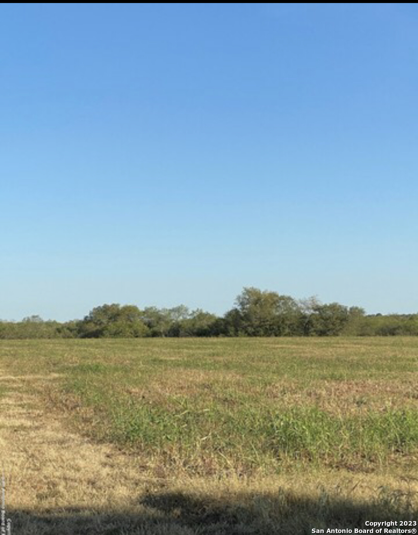 Tract #2 Crow Lane Adkins, TX 78101 - Photo 3 of 6