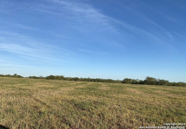 Tract #2 Crow Lane Adkins, TX 78101 - Photo 4 of 6